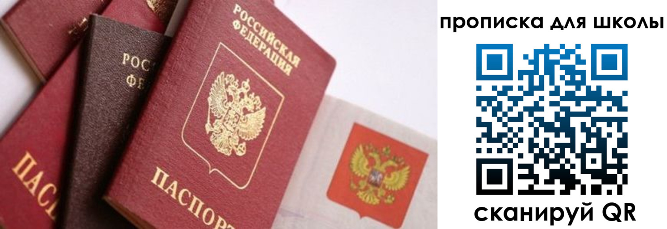 прописка поиск в Свердловской области
